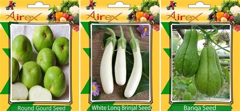 Vegetables Seed BY AIREX Round Gourd, White Long Brinjal and Banga Seed ...