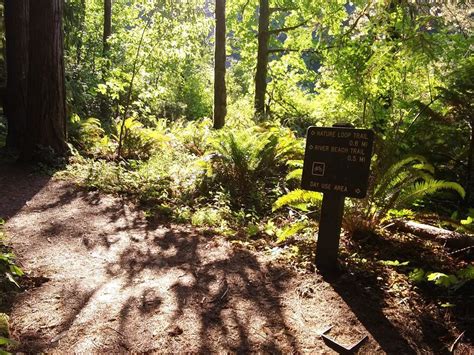 Loop Trail 的图像结果