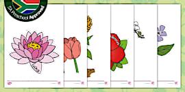 Image result for Spring Sorting Cut Outs