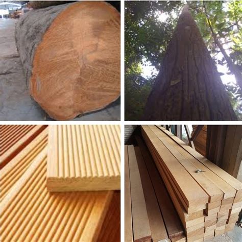 Kekurangan dan kelebihan kayu bengkirai - navigasiin