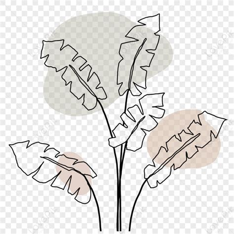 Minimalist Abstract Line Art Aesthetic Flower Plant,aesthetics ...