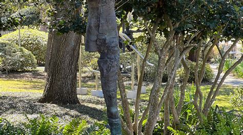 STANDING MAN WITH OUTSTRETCHED ARM (2025) All You Need to Know BEFORE ...