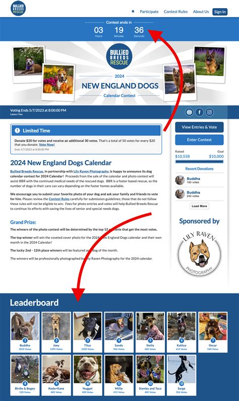 Image result for Go Go Contest