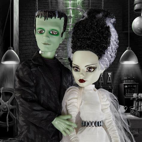 Image result for Monster High Bride of Frankenstein