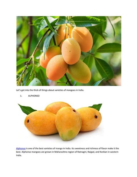 Image result for Mango Types Mango Varieties