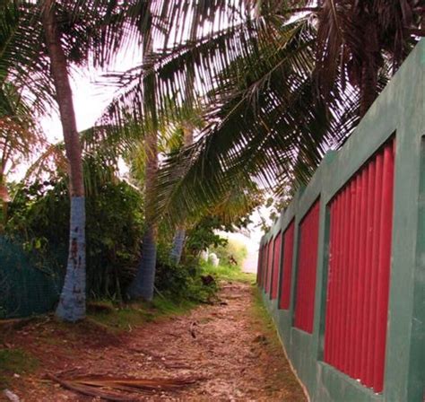 LOS ALMENDROS BEACH (2025) All You Need to Know BEFORE You Go (with ...