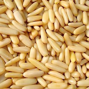 Dry Fruit Hub Pine Nuts without Shell 250gm Chilgoza Dry Fruits,100% ...