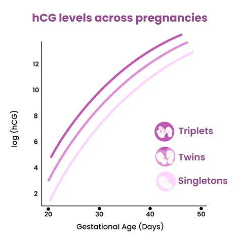 hCG Levels in Twin Pregnancy - Complete Guide | Crysta IVF