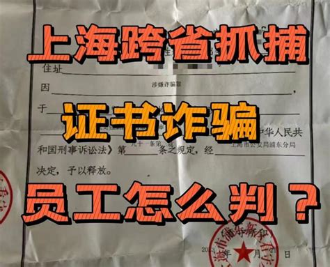 上海跨省抓捕证书诈骗，员工会怎么判？ - 知乎