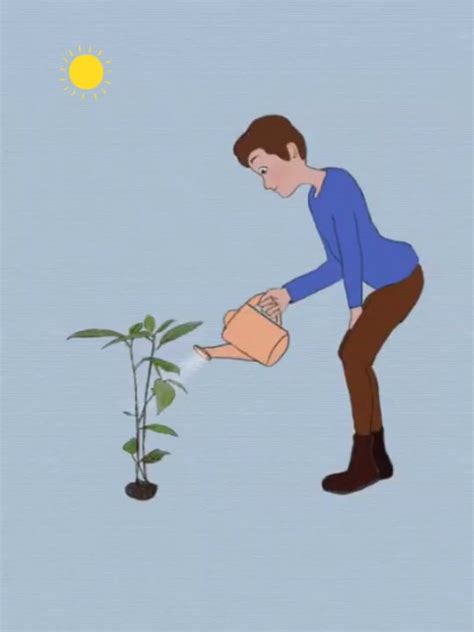 Image result for Plant Watering Python Project