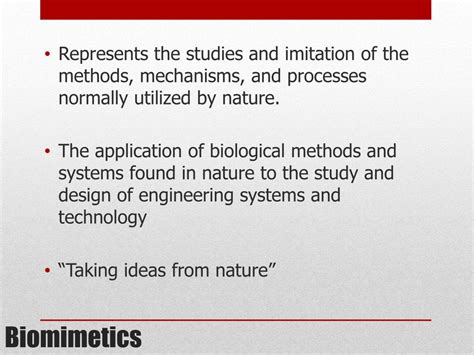 Image result for Biomimetics Examples