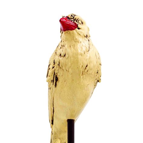 Buy Vintage Birds | Vintage Birds | Shop at The Purple Turtles — The ...