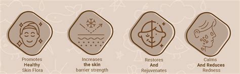 Buy Little Rituals Baby POST-BIOTIC FACE CREAM - HYDRATION + RADIANCE ...