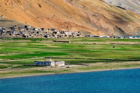 Numerology Predictions Today, April 29, 2025: Read your personalized ...