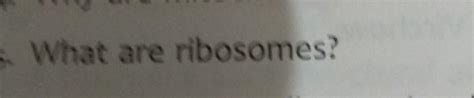 What are ribosomer? - Brainly.in