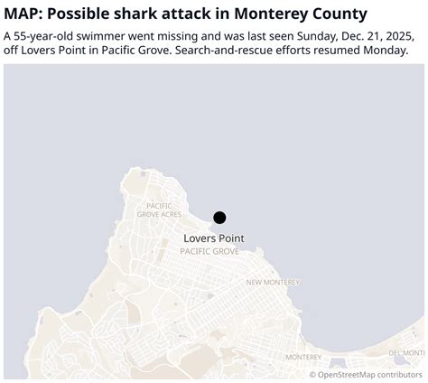 Swimmer missing after possible shark attack in Pacific Grove | Myrtle ...