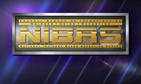 How to Use NIBRS 的图像结果