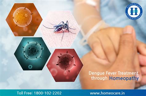 How Dengue Fever Affects on Health?