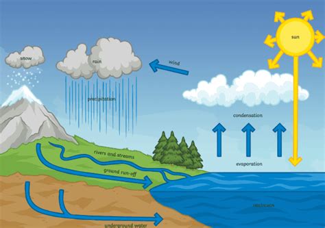 What is runoff? - Answered - Twinkl Teaching Wiki - Twinkl