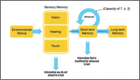 训练提高记忆力的5套方法教程，帮你全方位提高记忆力！ - 哔哩哔哩