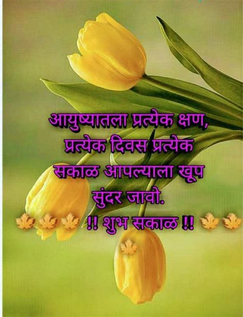 Good Morning Images | शुभ सकाळ फोटो | whats app status download