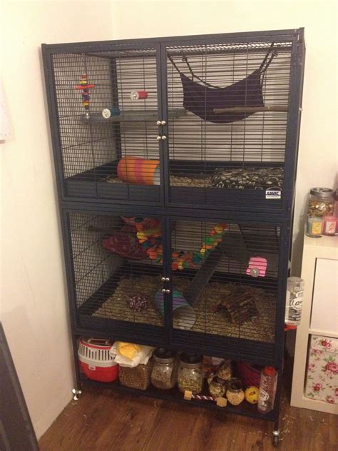 Best Cheap Rat Cages at Brenda Rasheed blog