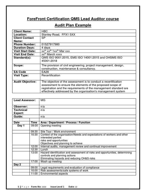 Audit Plan Example 的图像结果
