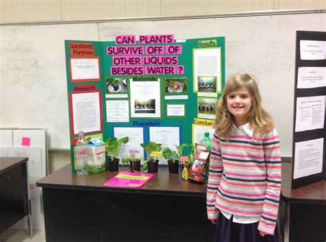 4th Graders Science Fair 的图像结果