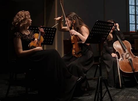 Image result for Using Allegro