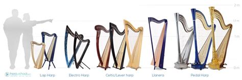 Rezultat imagine pentru Harp String Types