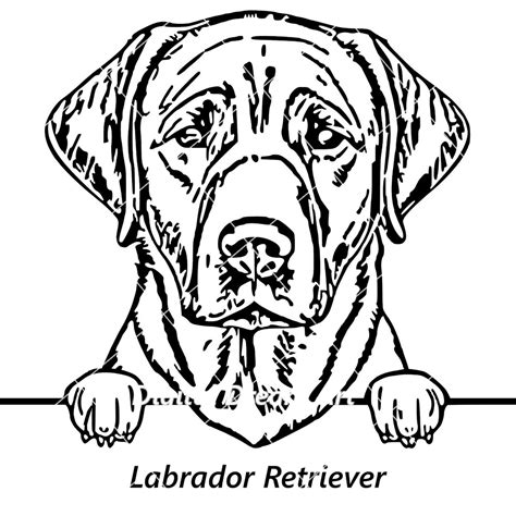 Image result for Lab DXF