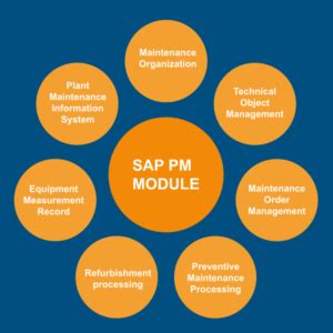 Install SAP PM Module 的图像结果