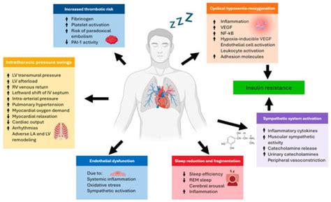 Mitigating Increased Cardiovascular Risk in Patients with Obstructive ...