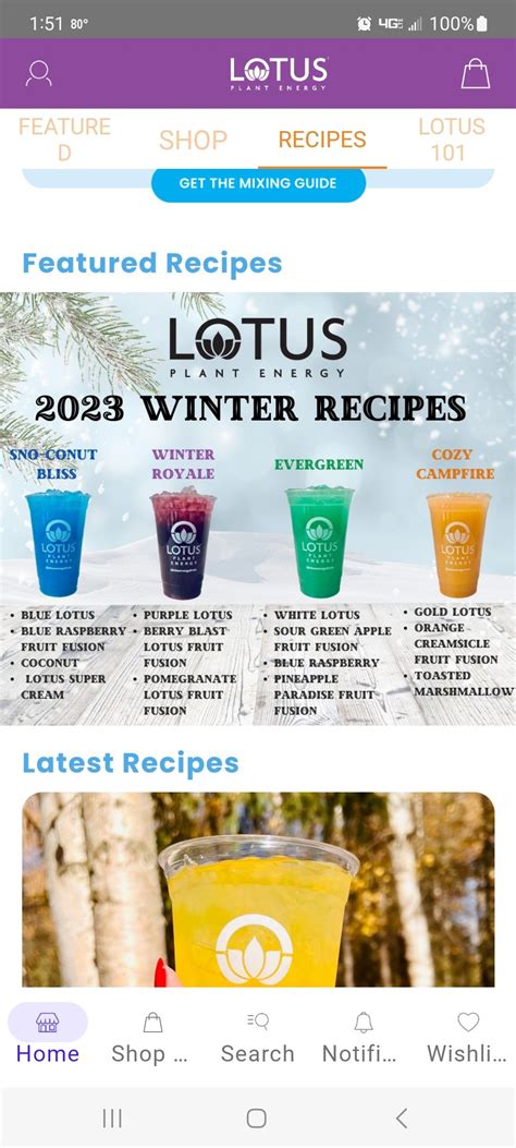 Lotus Winter Recipe App - Delicious Energy Drink Recipes