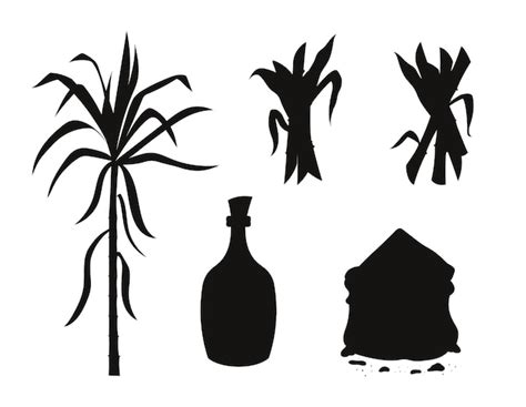 Zuckerrohr isolierte Vektorsilhouette | Premium Vektor