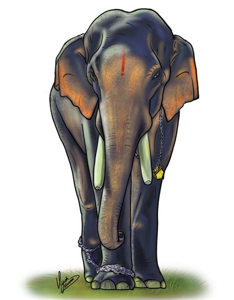 elephant drawing kerala