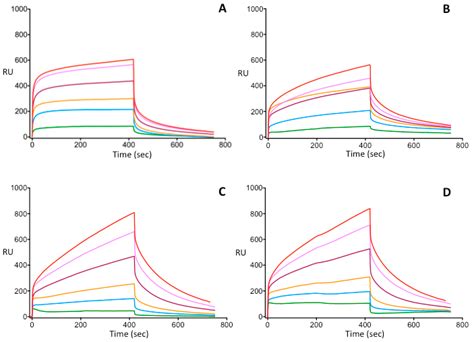 Investigation of the Differences in Antithrombin to Heparin Binding ...
