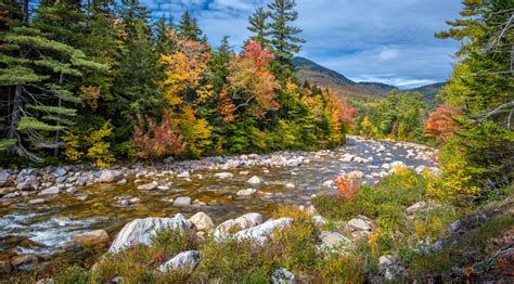 Best State 的图像结果