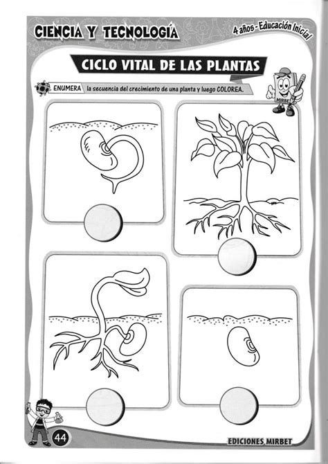Learn How to Draw and Color the Plant in Spanish