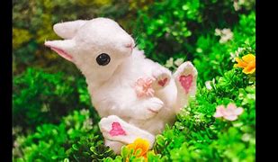 Image result for Blue Bunny Doll