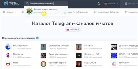 Как смотреть статистику телеграм-каналов и чатов – рабочие способы и ...