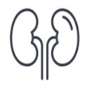 India Pathology dataset (IPD)