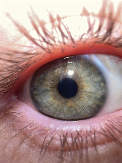 Can someone inform me what color my eyes are? : r/eyes