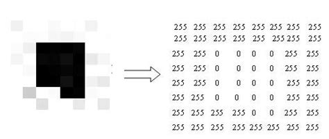 Image result for Source Code Binary File
