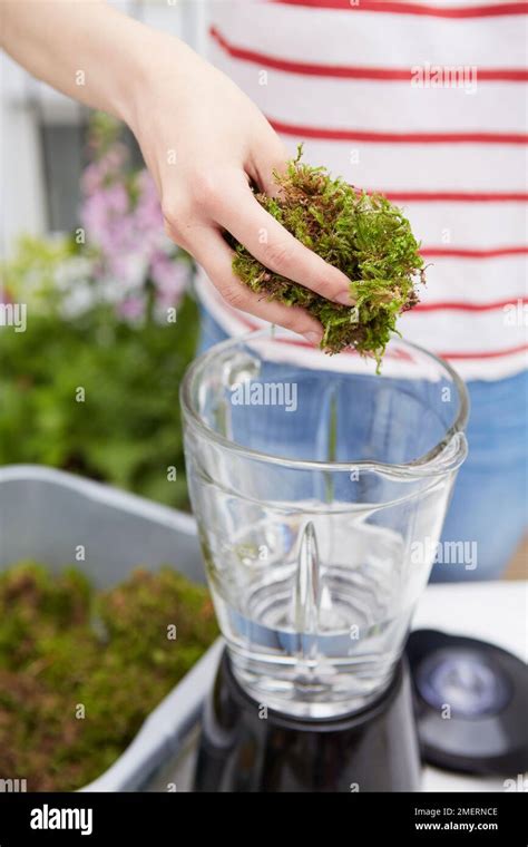 Rezultat imagine pentru Adding Workspaces Blender