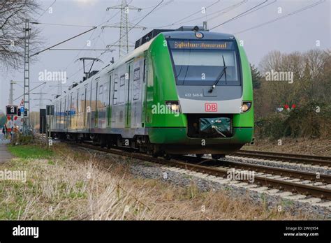 2 Local Train 的图像结果