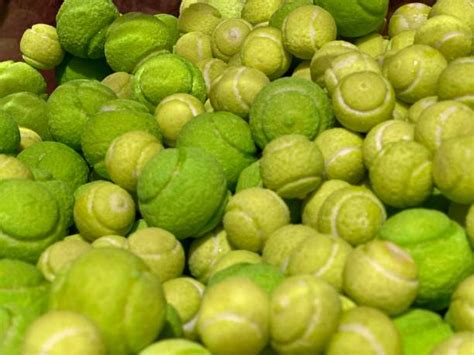 Image result for Candy Washing Machine Manual