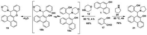 Synthesis and Conformational Analysis of Naphthoxazine-Fused ...