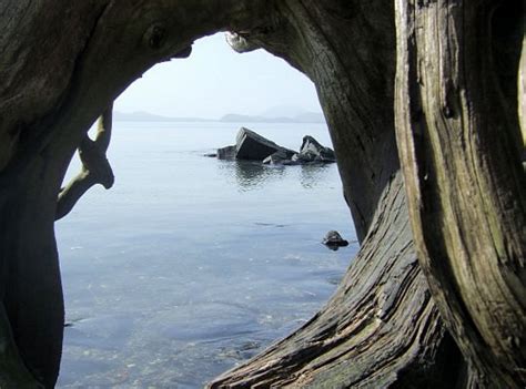 Wrangell Tourism (2023): Best of Wrangell, AK - Tripadvisor