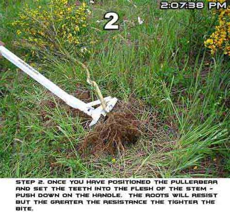 Small Tree Puller 的图像结果